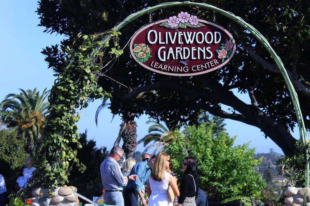 Olivewood Gardens: Unen a la comunidad de National City con platillos saludables