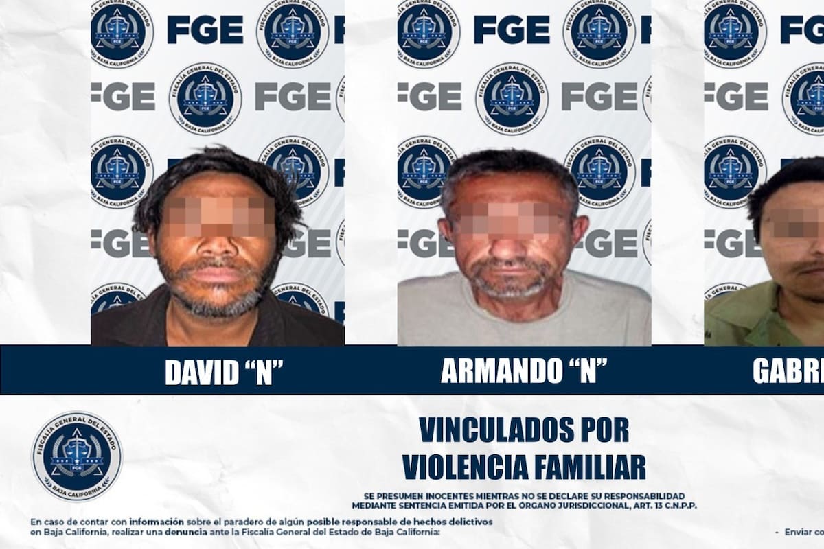 Procesan a tres hombres por agresiones contra familiares