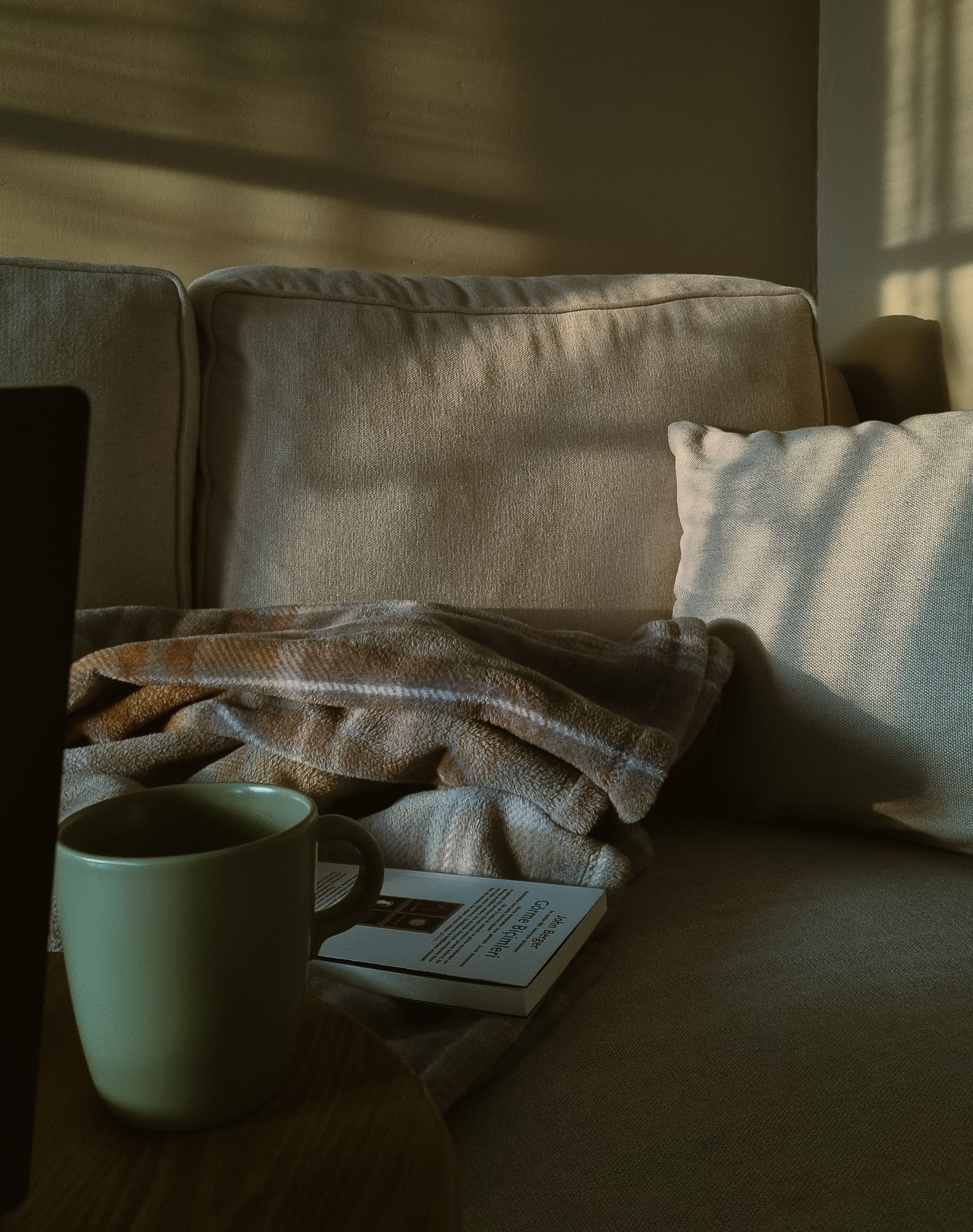 Investigaciones recientes indican que quedarse en casa no necesariamente está relacionado con el aislamiento social, sino con cambios en el estilo de vida moderno. Foto: Pexels