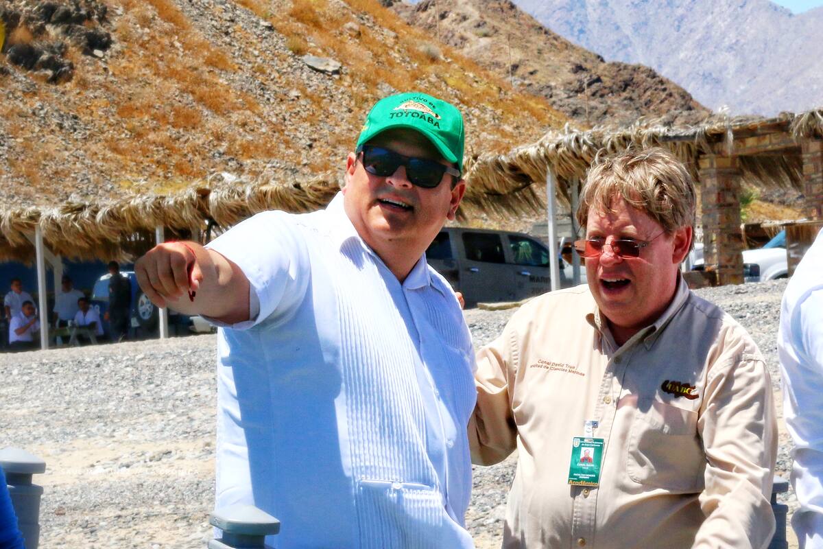 Falta de recurso a la UABC afecta la reproducción de totoaba