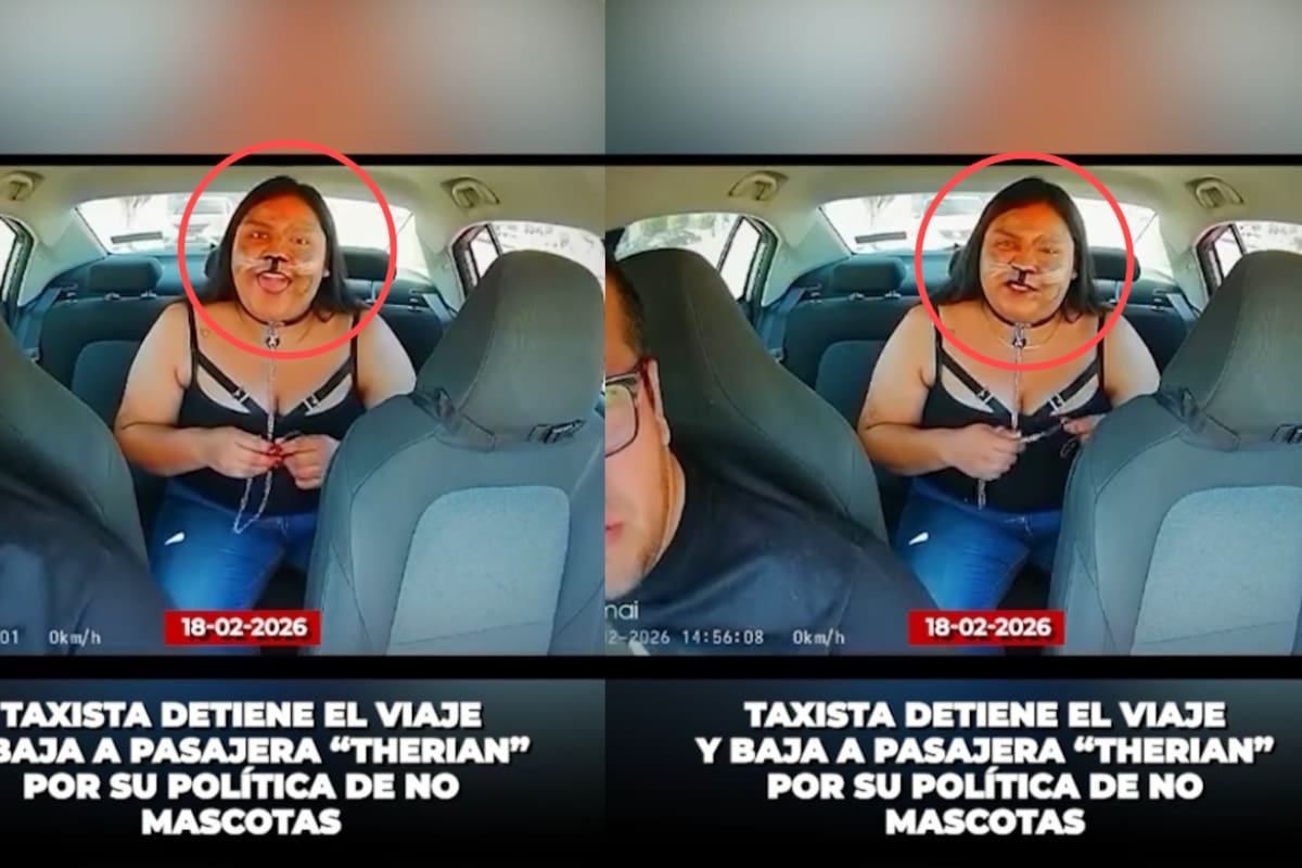 “Tome Uber Pet mejor, no voy a continuar el viaje.”: taxista se pelea con un therian y desata revuelo en redes