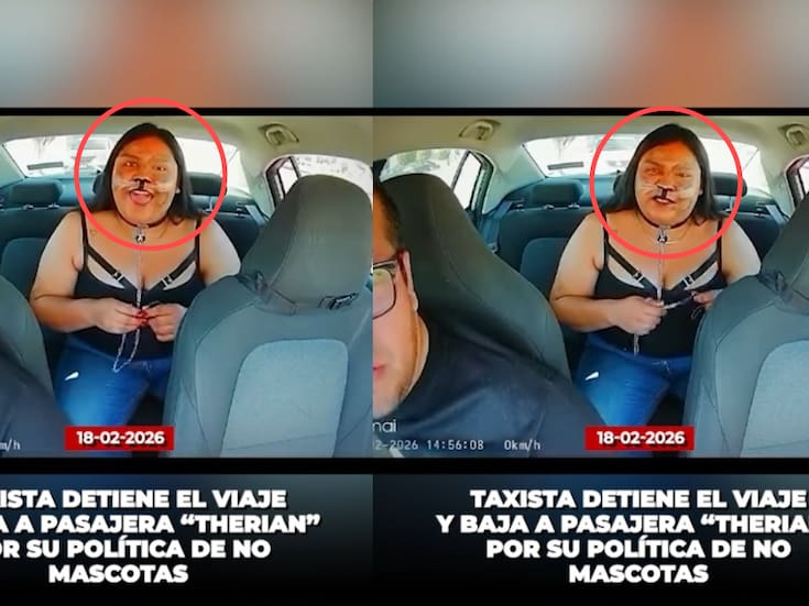 “Tome Uber Pet mejor, no voy a continuar el viaje.”: taxista se pelea con un therian y desata revuelo en redes