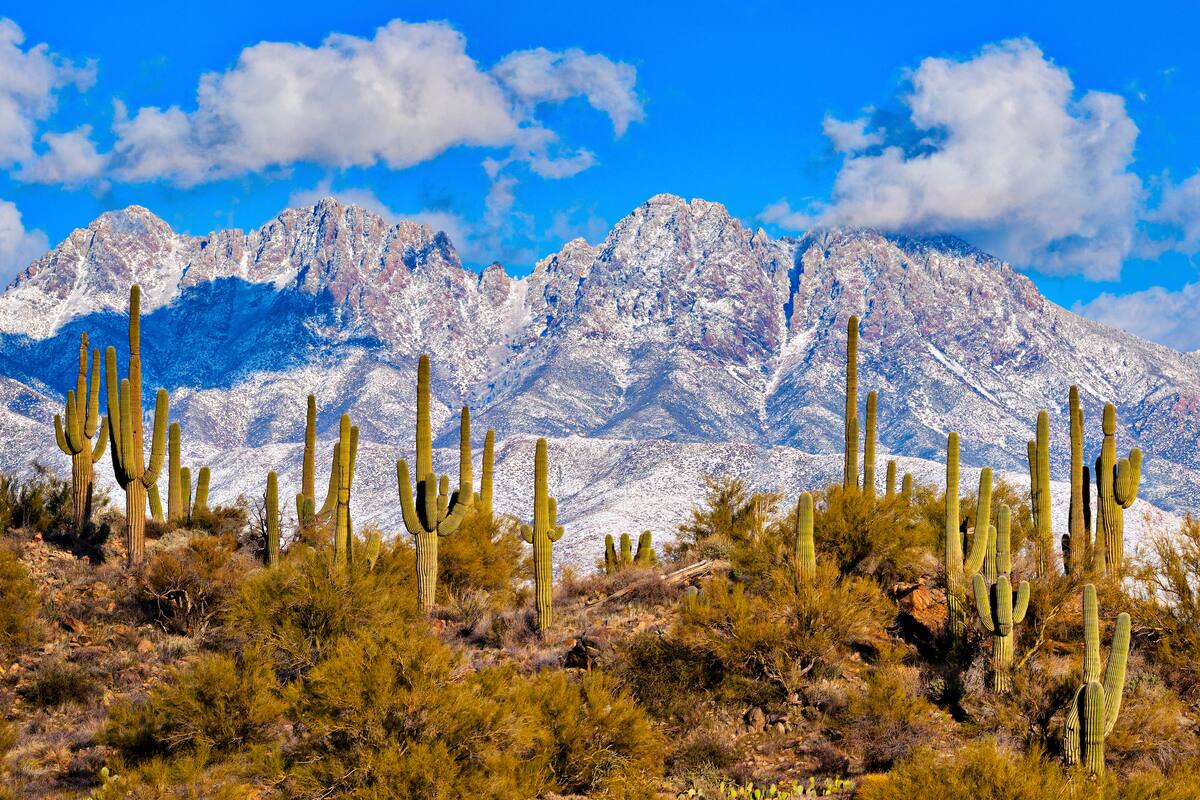Invierno en Arizona: destinos ideales para viajar en invierno y disfrutar la temporada