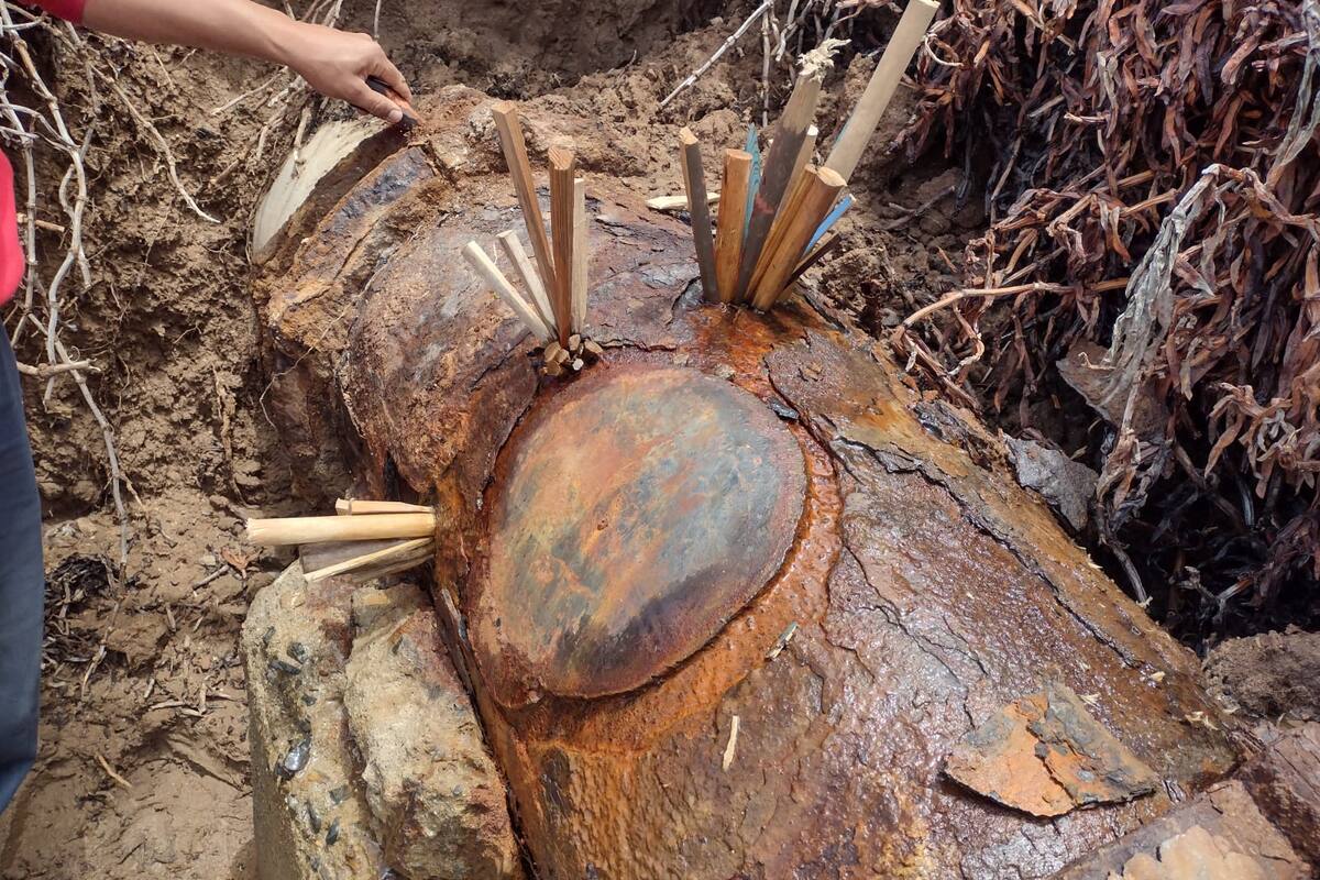 Anuncia Cespe otro corte de agua