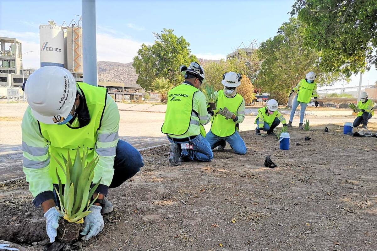 Construyen un día verde para Hermosillo