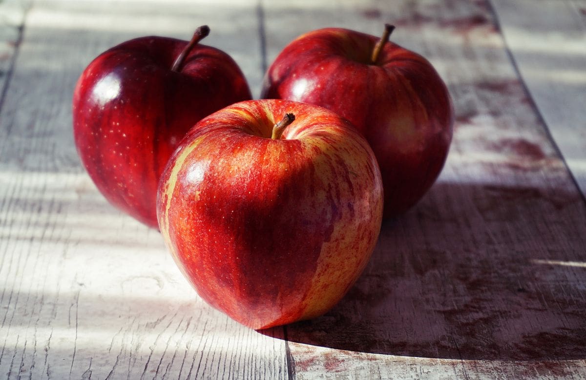 La manzana destaca por su aporte de fibra, vitaminas y antioxidantes que favorecen la salud cardiovascular, regulan la glucosa y apoyan la digestión. | Foto: Especial GH.