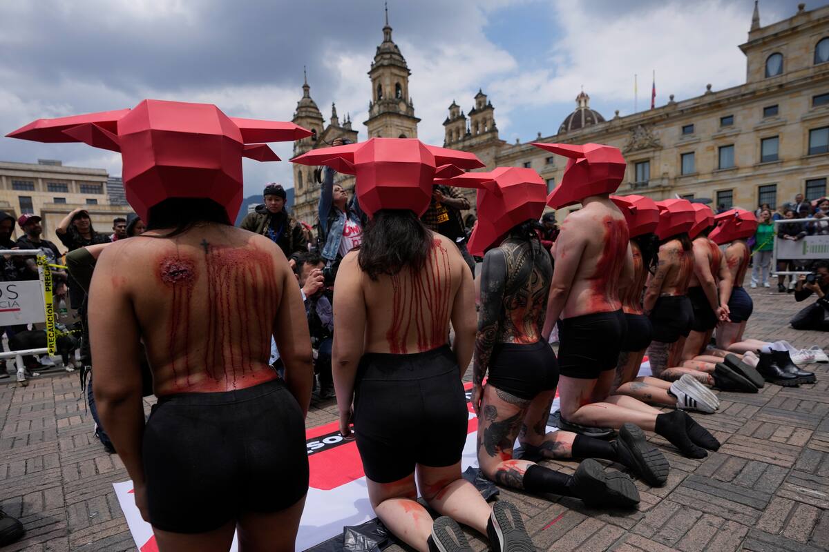 Activistas por los derechos de los animales protestan contra las corridas de toros fuera del Congreso de Bogotá, en Colombia, el martes 28 de marzo de 2023. El Senado aprobó un proyecto de ley para prohibir a nivel nacional las corridas de toros en diciembre de 2022, al que le restan dos debates en la Cámara de Representantes para convertirse en ley, que busca la prohibición progresiva de prácticas de “entretenimiento cruel con animales”. (AP Foto/Fernando Vergara)