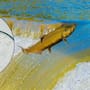 Salmones expuestos a cocaína nadan más y científicos alertan sobre contaminación de ríos por drogas