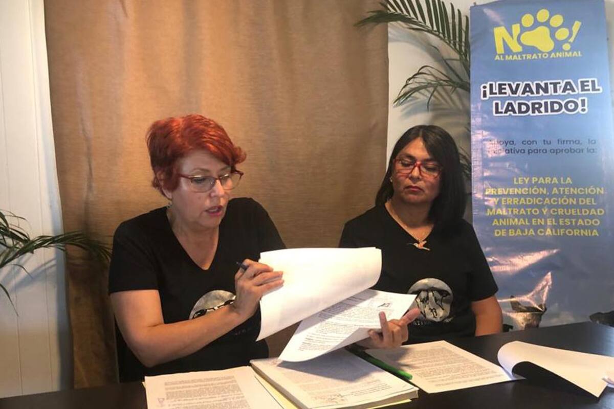 Se han presentado cuatro denuncias por maltrato animal en Rosarito