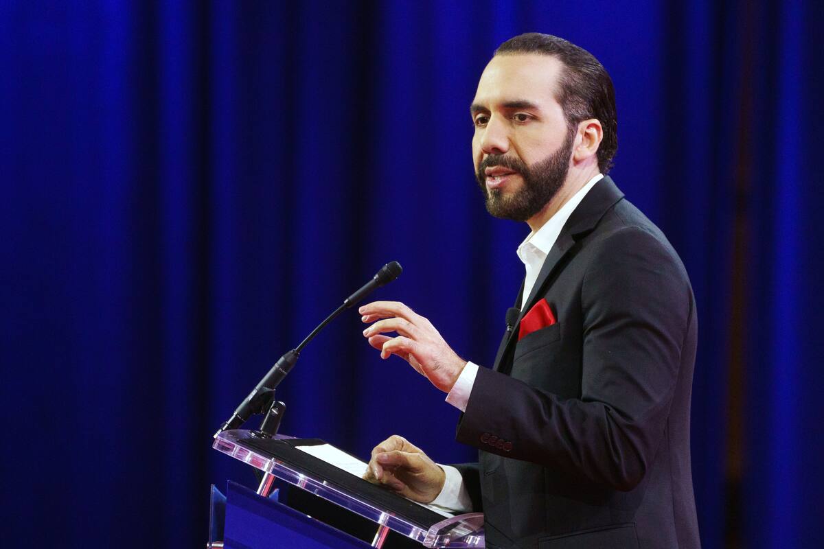 Nayib Bukele propondrá suspender aranceles a los productos de la canasta básica ampliada
