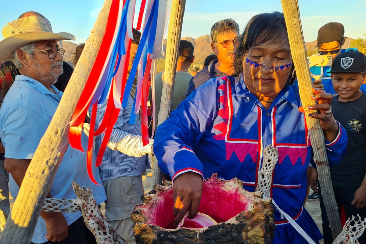Celebra la Nación Comcáac un nuevo ciclo de abundancia