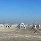 Limpiarán playa de Rosarito; gobierno pide el apoyo ciudadano