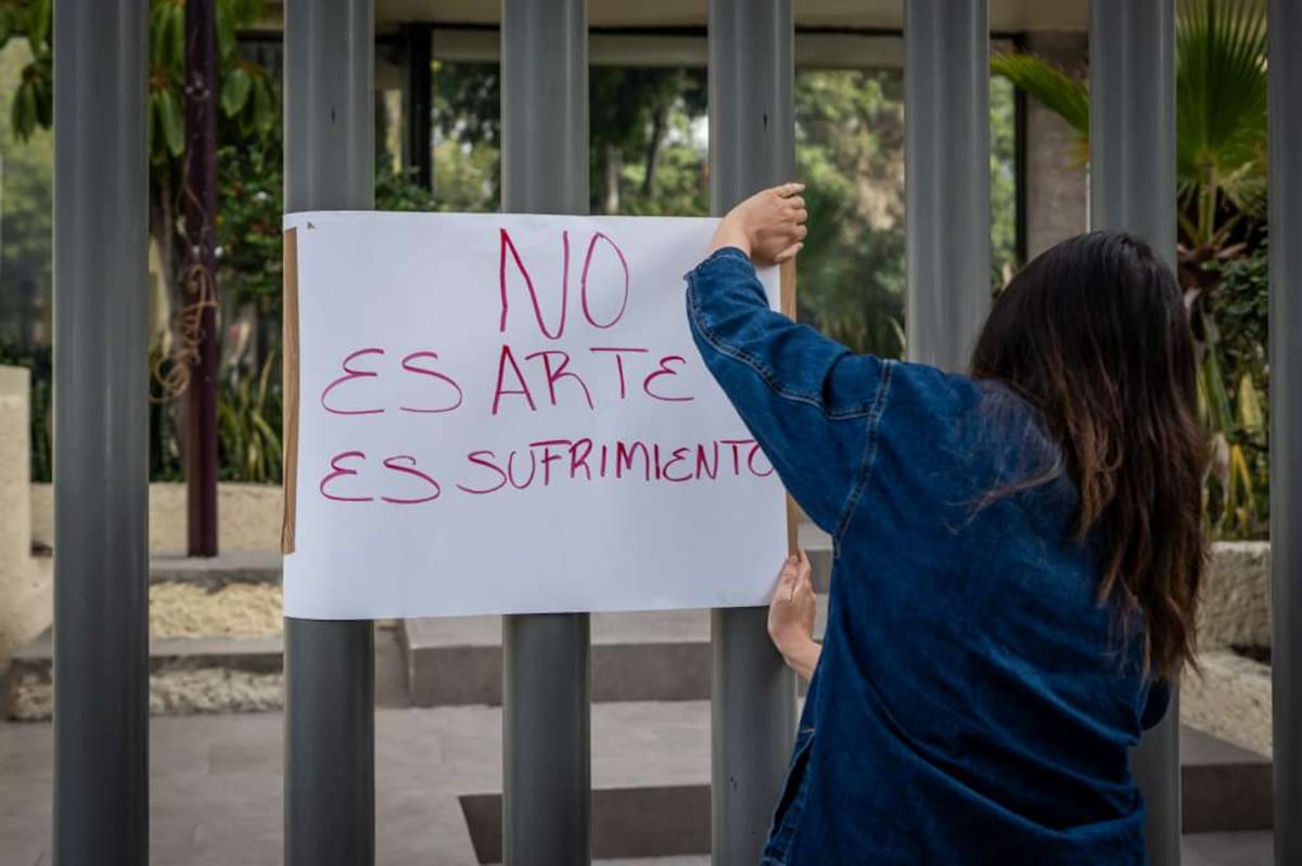 Defensores de los derechos de los animales se manifestaron previo a la audiencia que definirá la suspensión relacionada con la corrida de toros del 5 de julio, mientras impulsan su prohibición definitiva en Baja California. Foto: Border Zoom
