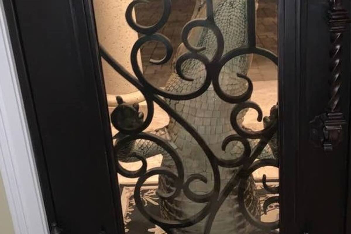 Gato se enfrenta a un caimán