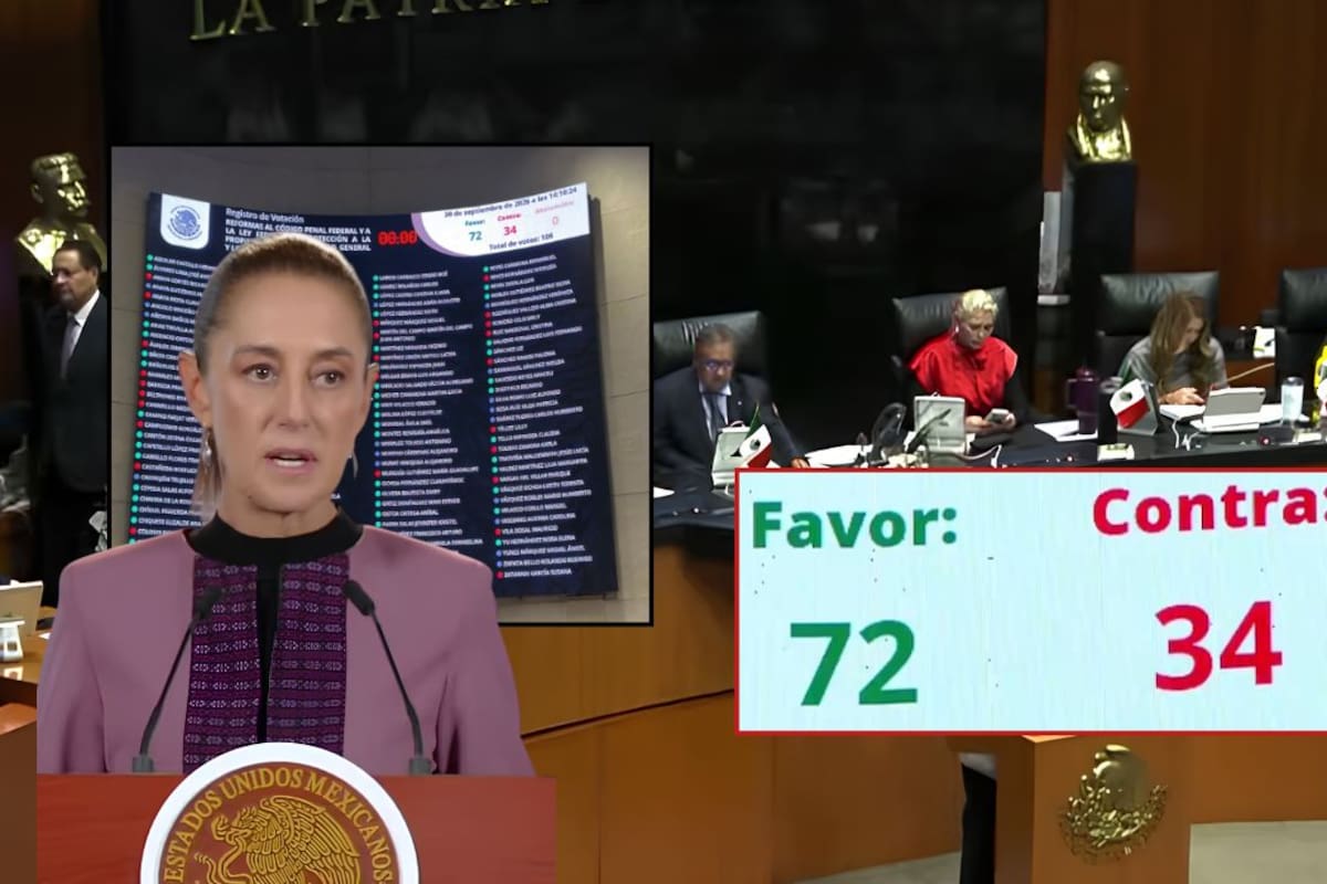 “Ley Antimemes”, es aprobada por el Senado en lo general: qué dice, qué sanciona y por qué genera polémica