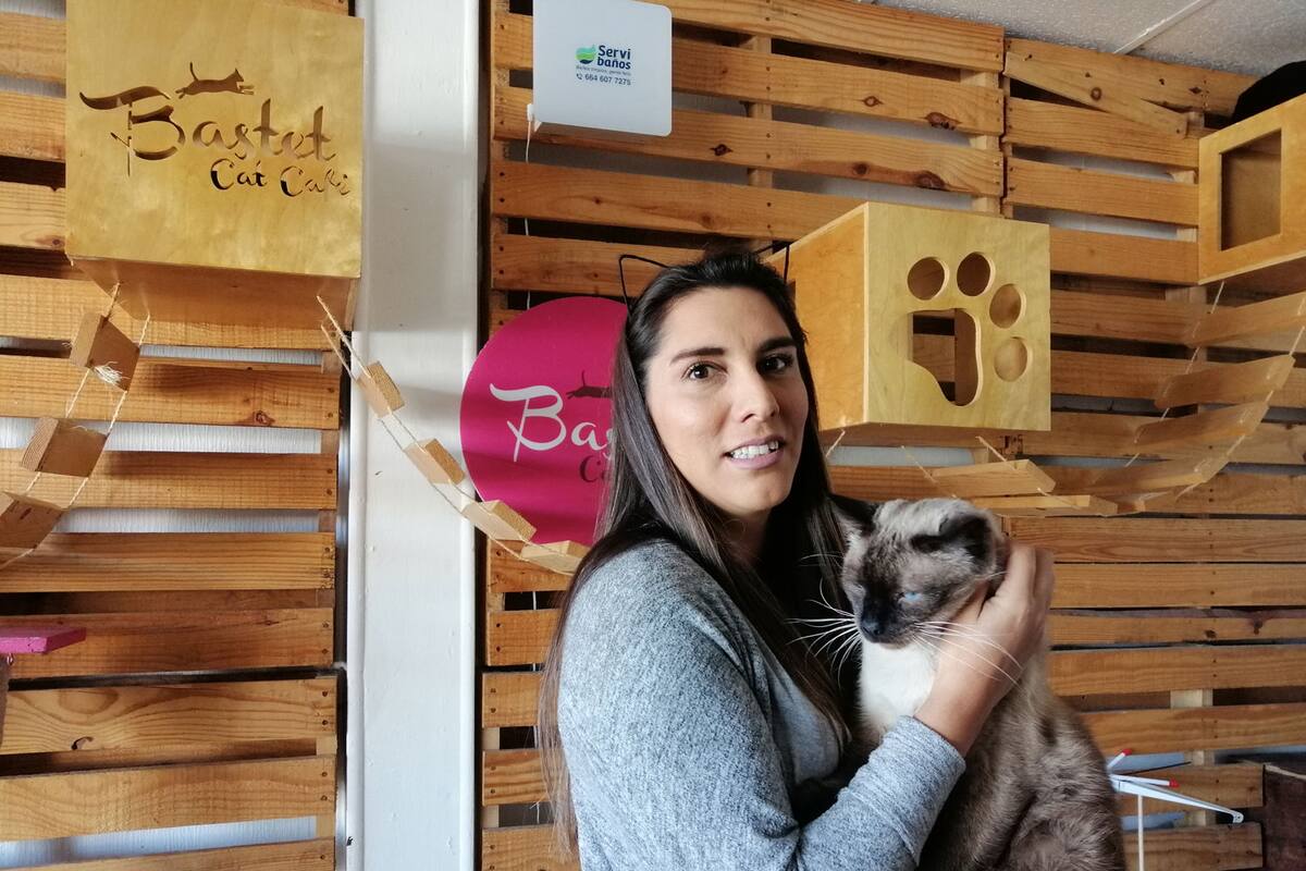 Café gatuno, un comercio con causa