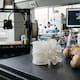 Crean vidrio 3D que favorece el crecimiento de hueso