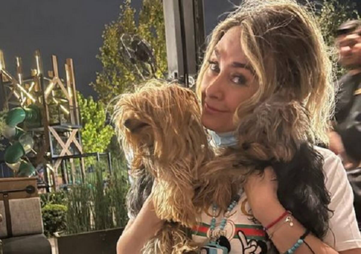 Aracely Arámbula es amante de los animales.