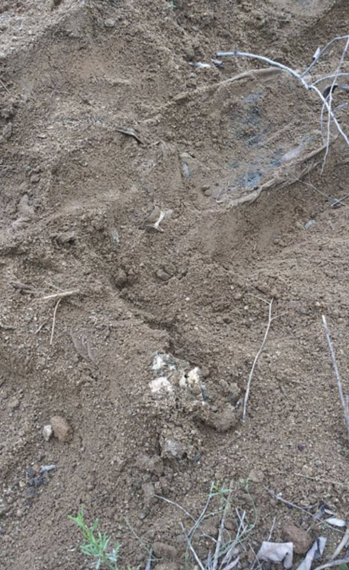 Hallazgo de cuerpos en Hacienda las Delicias III.