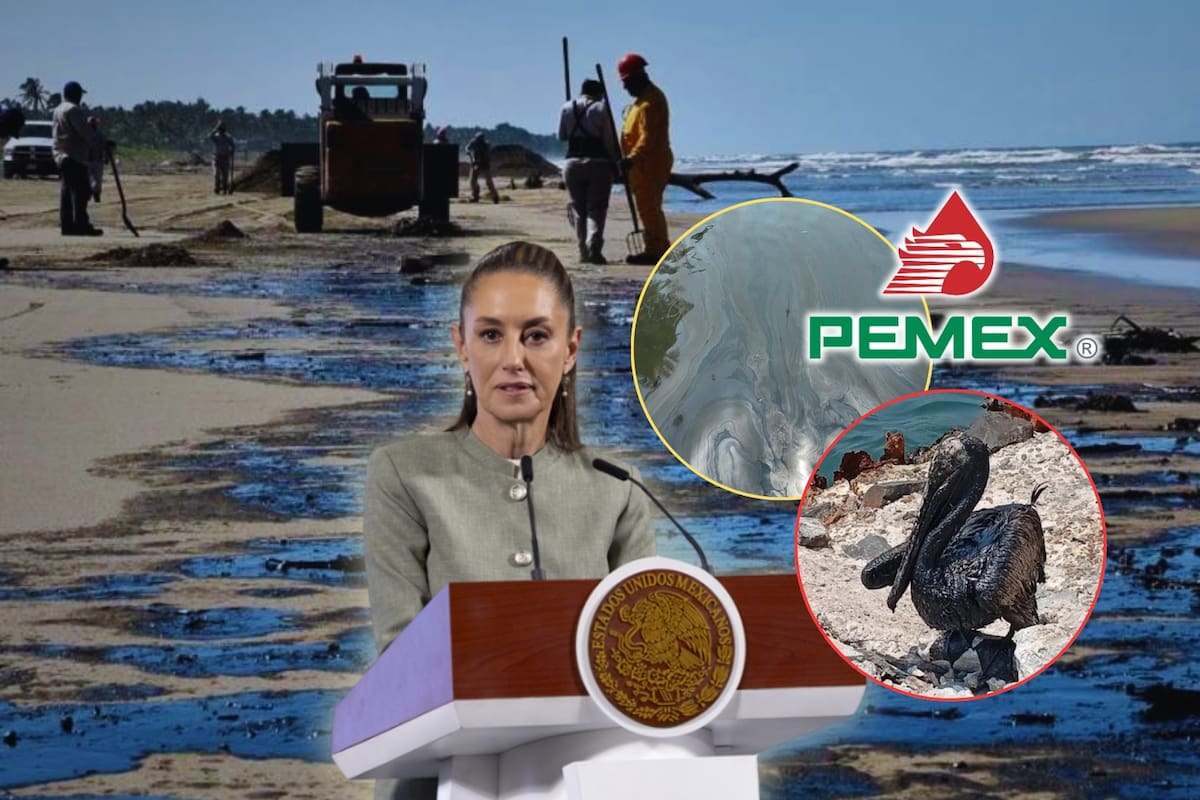 La aseguradora Swiss Re, de las más importantes del mundo, da la espalda Pemex y rechaza cubrirle nuevos proyectos por ser una empresa “cochina” en cuanto a contaminación