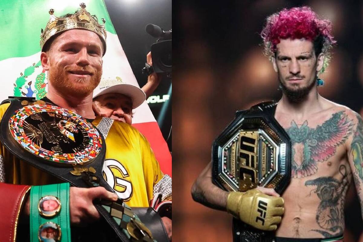 ¿Cuál será la diferencia de sueldos entre 'Canelo' y el campeón de UFC en su pelea del 14 de septiembre?