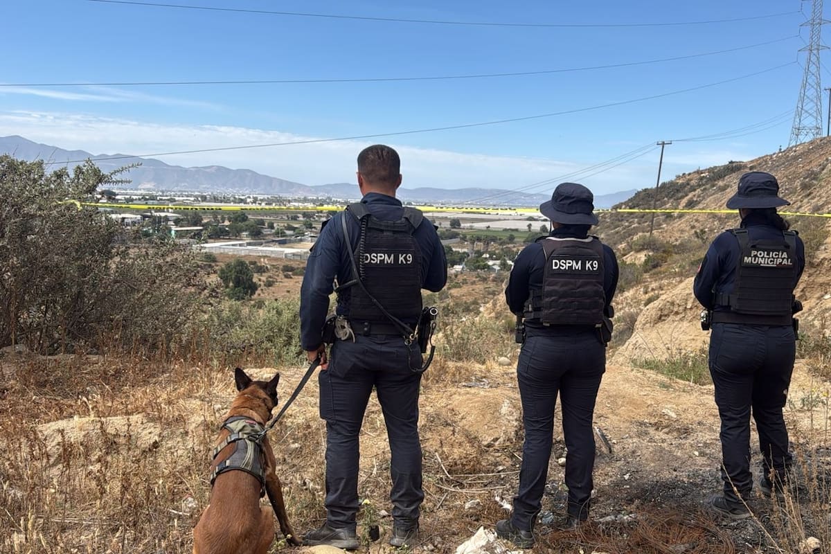 Unidad K9 localiza cuerpo en descomposición en Maneadero