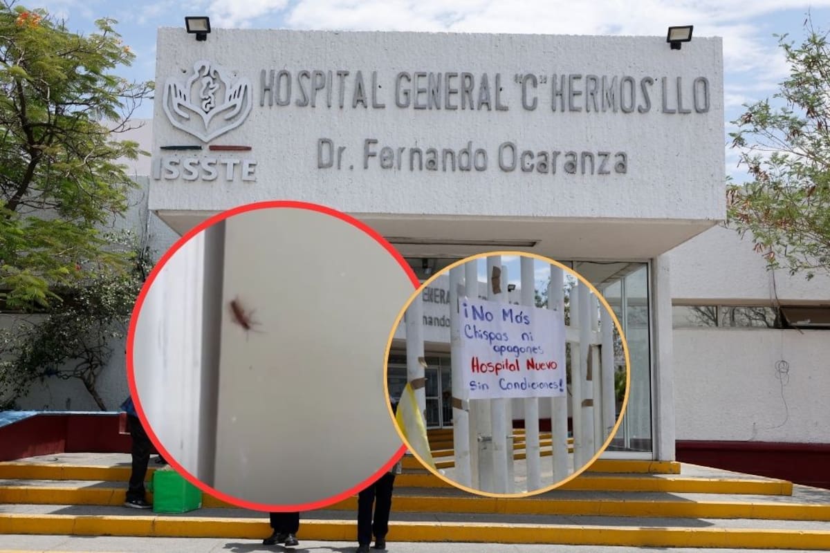 Videos exhiben cucarachas y otras plagas en Urgencias y áreas de preparación de medicamentos del hospital del Issste de Hermosillo mientras trabajadores denuncian que autoridades no han atendido sus solicitudes de fumigación