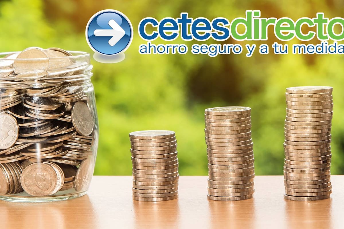 Cetes y Bolsa de Valores: ¿Qué opción ofrece mejores rendimientos?