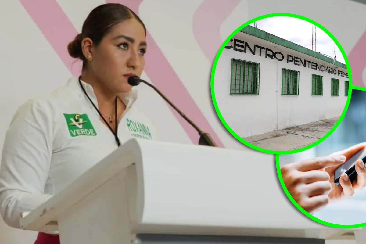 “No tienen nada de intelecto... Son gente corriente”: Diputada del PVEM desata polémica por declaraciones en mensaje sobre penal femenil