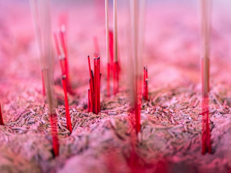 Microbiota intestinal: por qué influye en la digestión, el estado de ánimo y el sueño