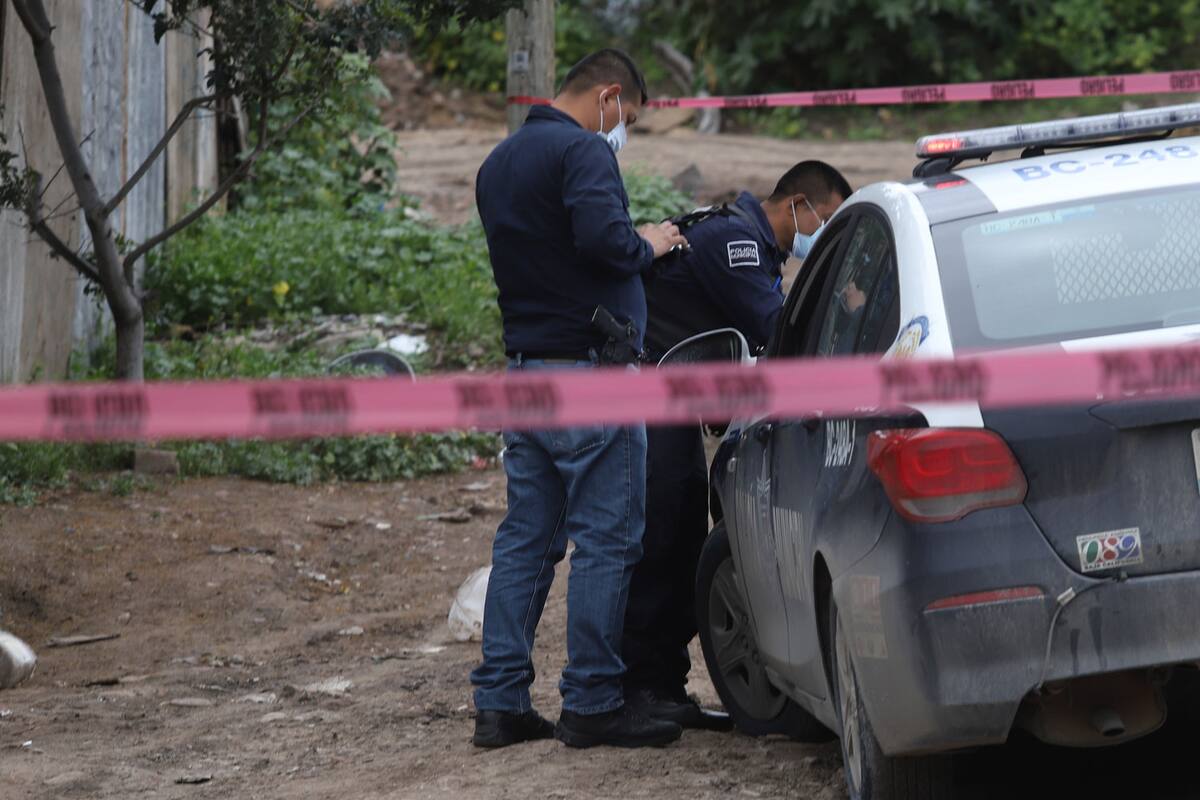 Mañanera de AMLO: Agosto, el más bajo en homicidios dolosos durante la administración: SSPC