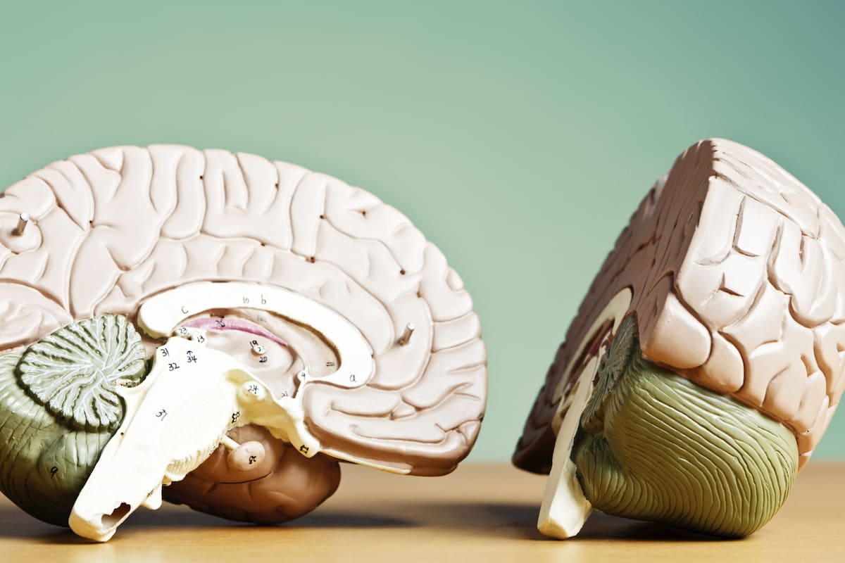 Cuidar el cerebro desde la rutina nocturna: claves para un mejor descanso y salud mental