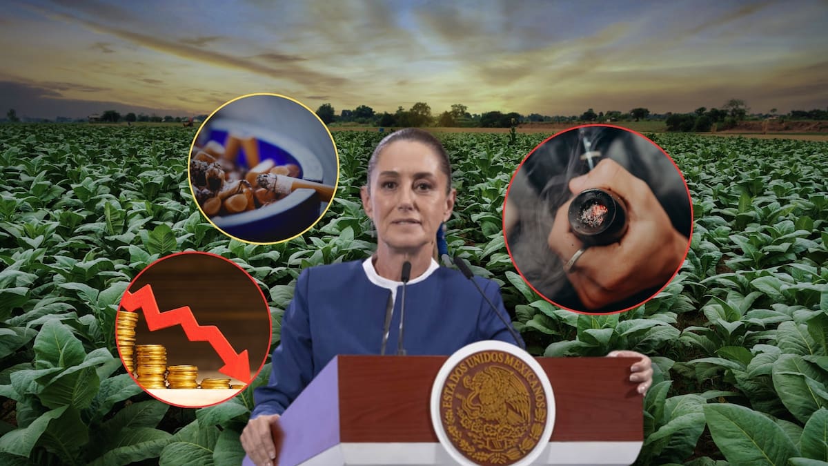 México enfrentaría grandes pérdidas de ingresos por los nuevos impuestos de Sheinbaum a los cigarros, pues podría impulsar nuevamente el mercado ilegal del tabaco, según advierten expertos de la industria