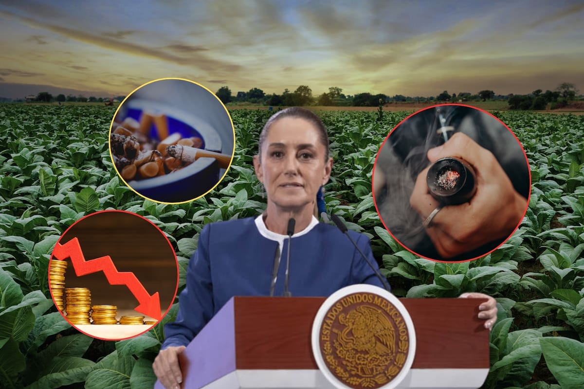 México enfrentaría grandes pérdidas de ingresos por los nuevos impuestos de Sheinbaum a los cigarros, pues podría impulsar nuevamente el mercado ilegal del tabaco, según advierten expertos de la industria