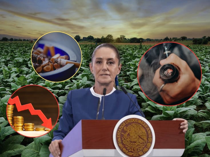 México enfrentaría grandes pérdidas de ingresos por los nuevos impuestos de Sheinbaum a los cigarros, pues podría impulsar nuevamente el mercado ilegal del tabaco, según advierten expertos de la industria