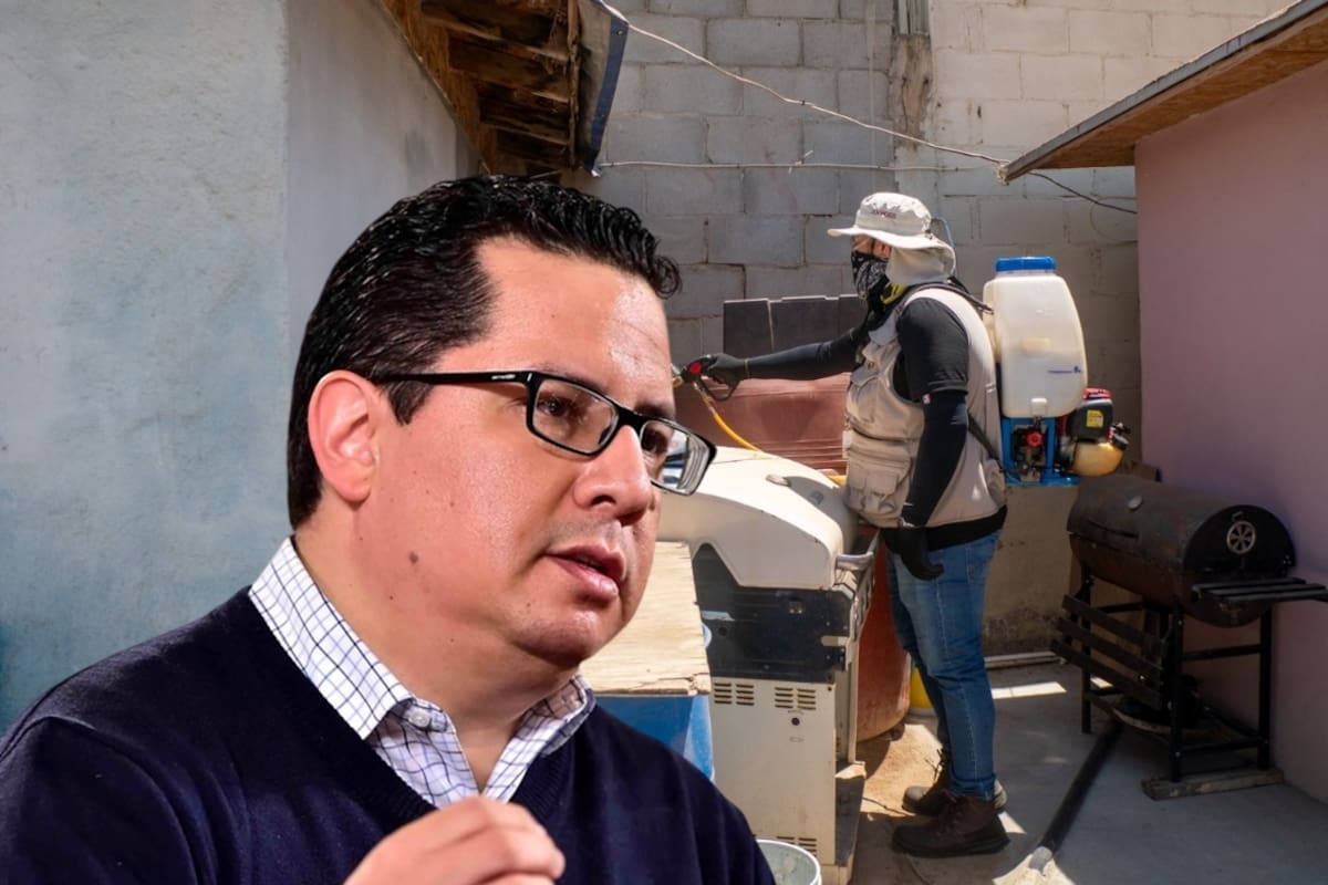 Rickettsiosis en Sonora: casos bajan 36% gracias a acciones preventivas, informan autoridades