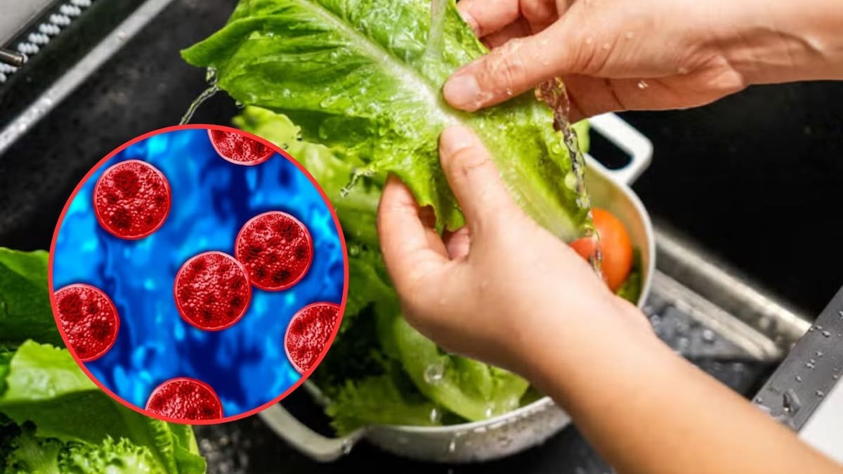 Mientras la FDA relaciona lechuga mexicana con brote de “diarrea explosiva”, Cofepris sostiene que no existe evidencia analítica concluyente para afirmar que productos nacionales fueron el origen de las infecciones