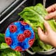 México confirma tres casos de Cyclospora, pero descarta un brote; continúa investigación por posible vínculo con lechuga de Guanajuato