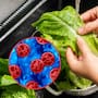México confirma tres casos de Cyclospora, pero descarta un brote; continúa investigación por posible vínculo con lechuga de Guanajuato