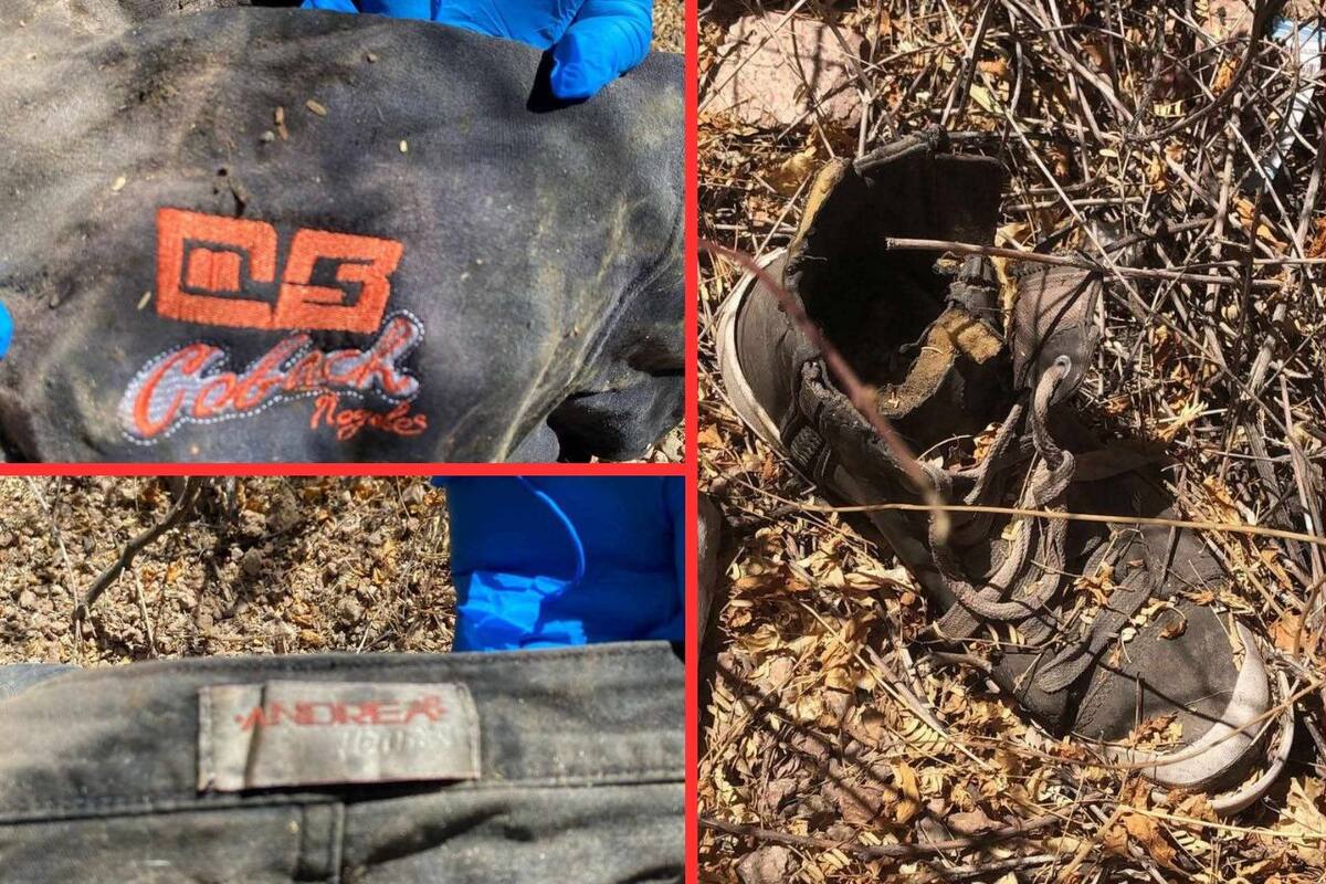 Madres Buscadoras de Sonora hallan restos presuntamente de una mujer en carretera de Hermosillo a San Miguel Horcasitas