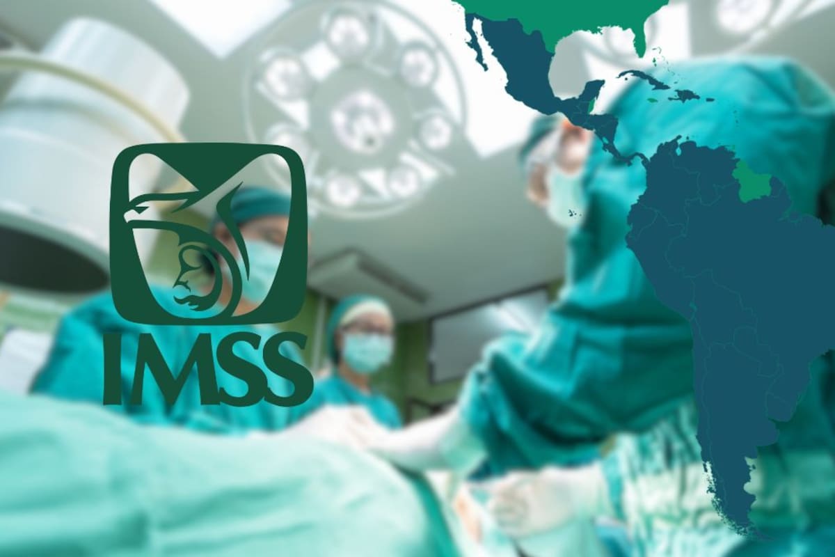 IMSS firma contratos con empresa involucrada en muerte de 17 niños; causo brote mortal de Klebsiella oxytoca