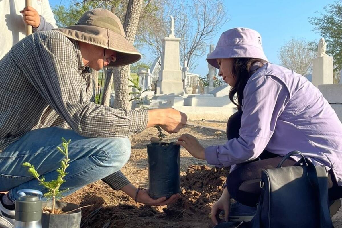 Invitan a sumarse al mantenimiento del Cerro Johnson