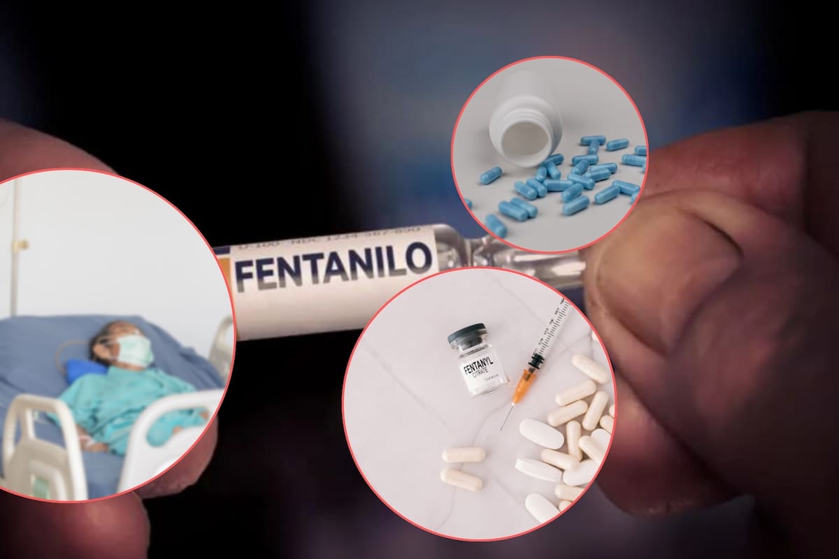 Una niña de 10 años dio positivo a fentanilo tras ingresar con síntomas de intoxicación en Puebla, Fiscalía General del Estado de Puebla inició carpeta de investigación por presunta contaminación alimentaria