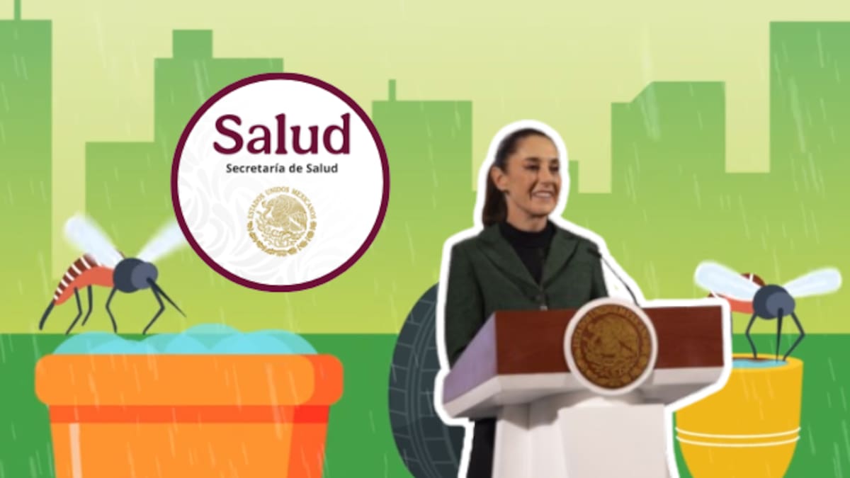 Esto es lo que dice el Plan Anual contra el Dengue de la Secretaría de Salud