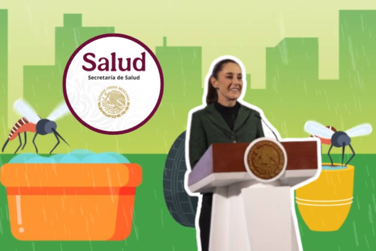 Esto es lo que dice el Plan Anual contra el Dengue de la Secretaría de Salud