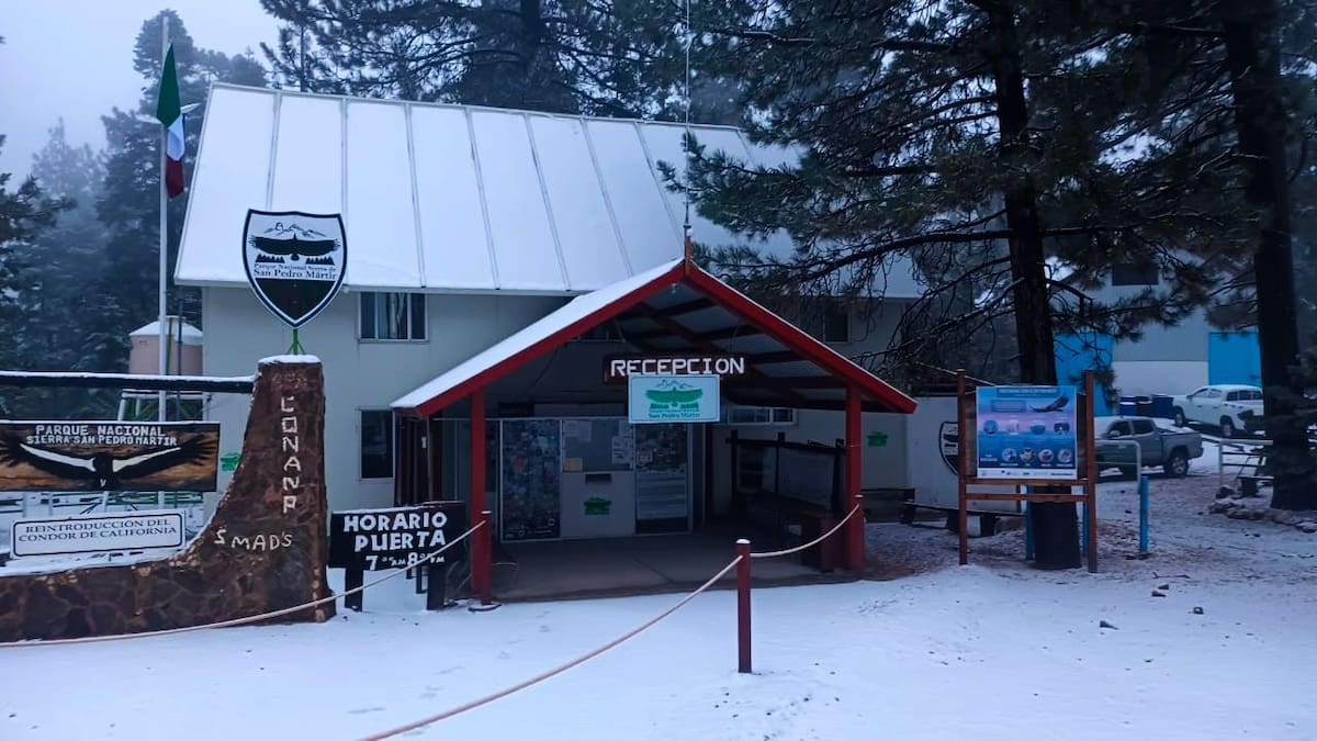 Protección Civil compartió imágenes de los paisajes nevados en el Parque Nacional, reconocido por su cielo limpio, biodiversidad y el Observatorio Astronómico Nacional. Foto: Cortesía