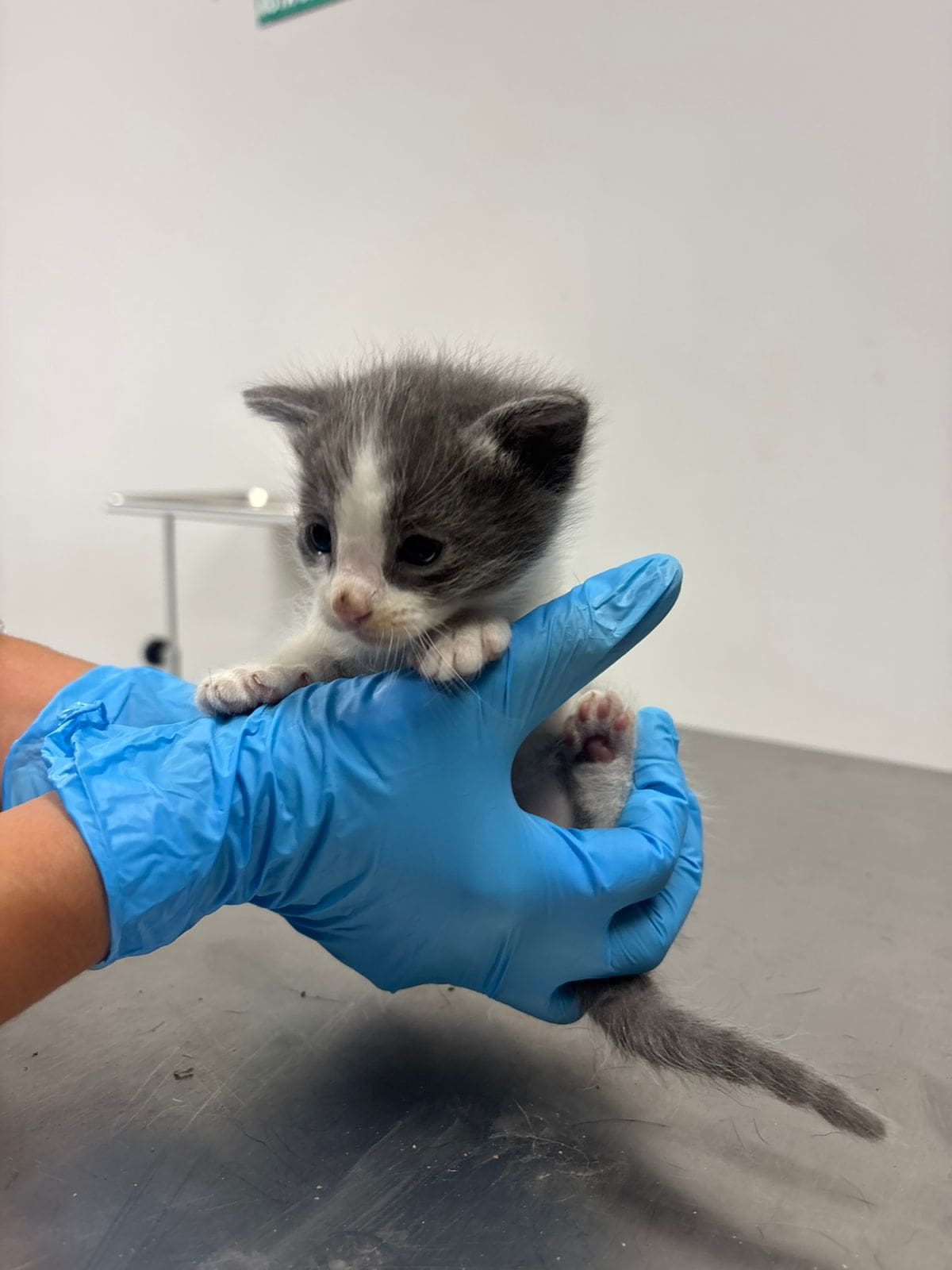 Foto: redes sociales Ismael Burgueño