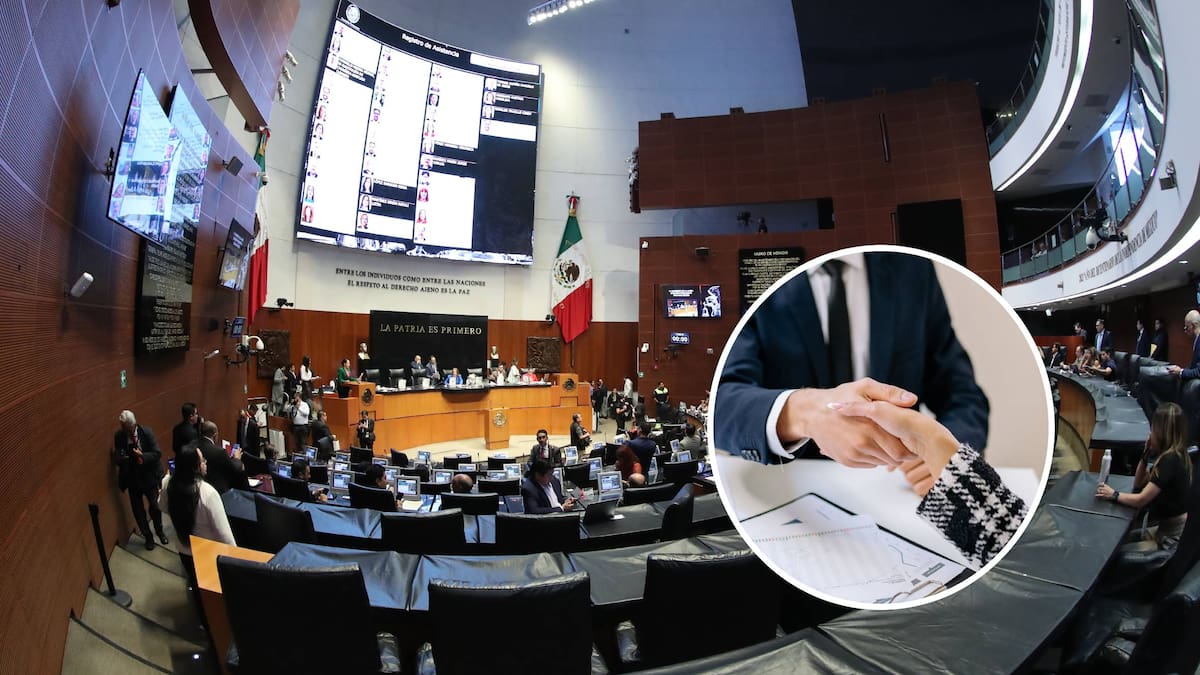 Diputados de MC proponen multas de hasta 293,275 pesos para empresas que no contraten al menos 5% de jóvenes sin experiencia laboral formal