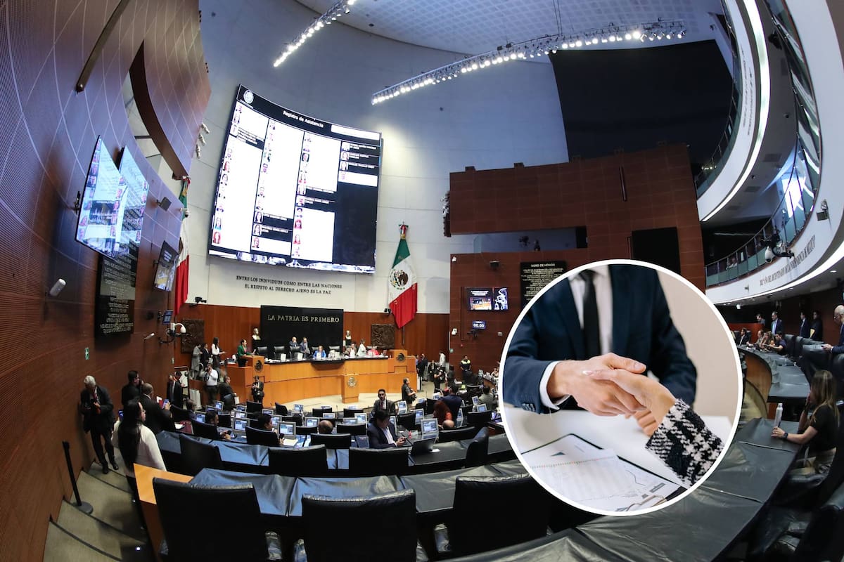 Diputados de MC proponen multas de hasta 293,275 pesos para empresas que no contraten al menos 5% de jóvenes sin experiencia laboral formal