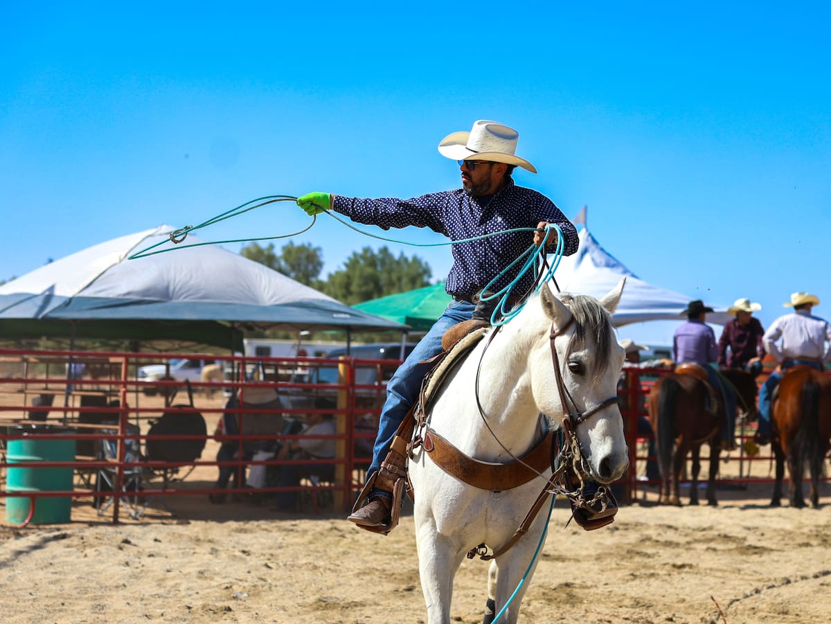 Foto: Juan J Morales